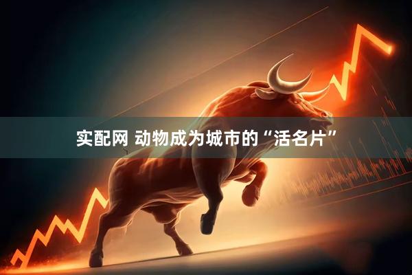 实配网 动物成为城市的“活名片”