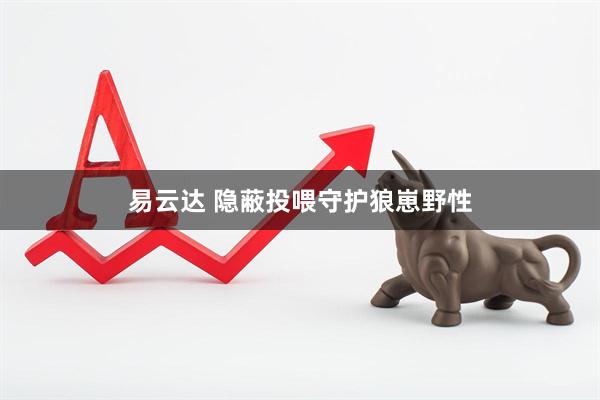 易云达 隐蔽投喂守护狼崽野性