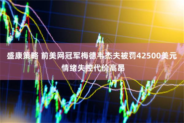 盛康策略 前美网冠军梅德韦杰夫被罚42500美元 情绪失控代价高昂